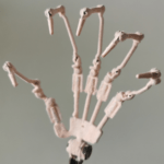 Articulated Fingers 
